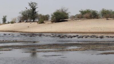 científicos advierte de pérdida de agua por cambio climático