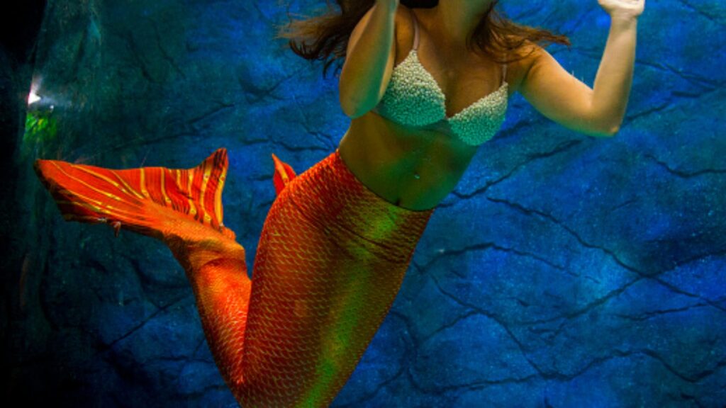 Una mujer, disfrazada de sirena, estuvo a punto de morir luego de sufrir un desmayo durante un show acuático en un acuario.