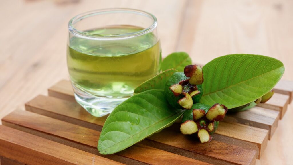 Té de hojas de guayaba, cuáles son sus beneficios y cómo debes tomarlo