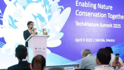 Tech4nature yucatan jaguares