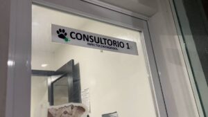 Dueña golpea a médica veterinaria tras muerte de su perrita en Durango; todo quedó en video