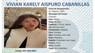 Ficha de búsqueda de Vivian Karely.