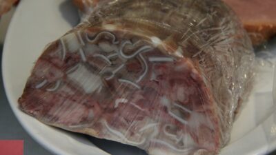 ¿Qué tiene el queso de puerco? Profeco revela qué marcas no pasaron su estudio