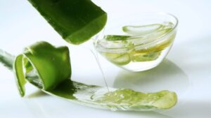 Aloe vera en el hogar: ve 5 cosas a tomar en cuenta
