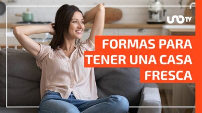 ¿Cómo usar bicarbonato para refrescar el hogar? Ve estas 3 formas sencillas