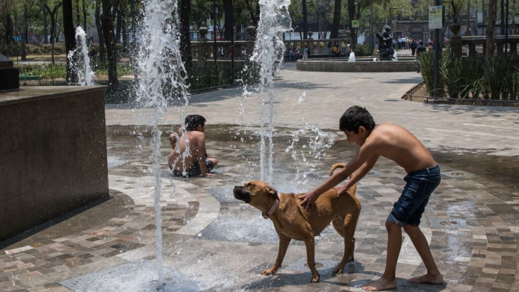 Golpe de calor en perros y gatos