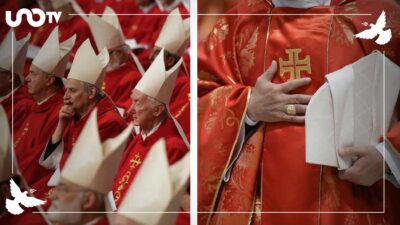 Cardenal Mexicano Ser Papa Ok
