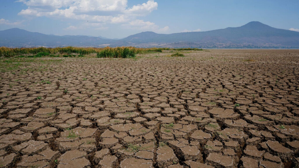 ¿Cómo afectan las sequías a la agricultura?