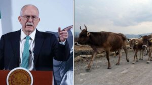 Hay avance contra plaga que afecta al ganado; ya hay acuerdos con EE.UU.: Berdegué Sacristán