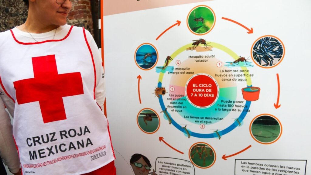 Exposición de la Cruz Roja contra el dengue