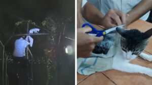 Atrapan a “gato narco”; llevaba droga pegada al cuerpo e iba hacia un penal