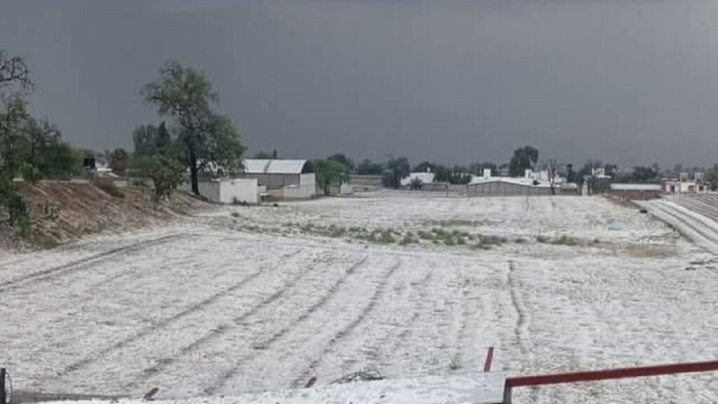 granizada-en-puebla-pinta-de-blanco-los-campos-de-tochtepec-y-deja-severos-danos-en-cultivos