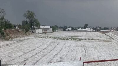 granizada-en-puebla-pinta-de-blanco-los-campos-de-tochtepec-y-deja-severos-danos-en-cultivos