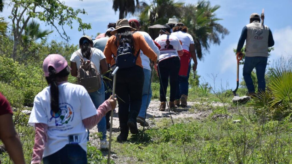 hallan-presunta-fosa-clandestina-en-palmar-de-bravo-puebla-fiscalia-ya-investiga