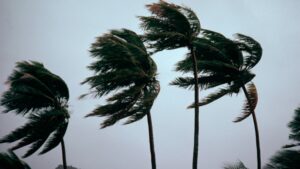 Flossie se fortalece a huracán categoría 1; se prevén lluvias torrenciales