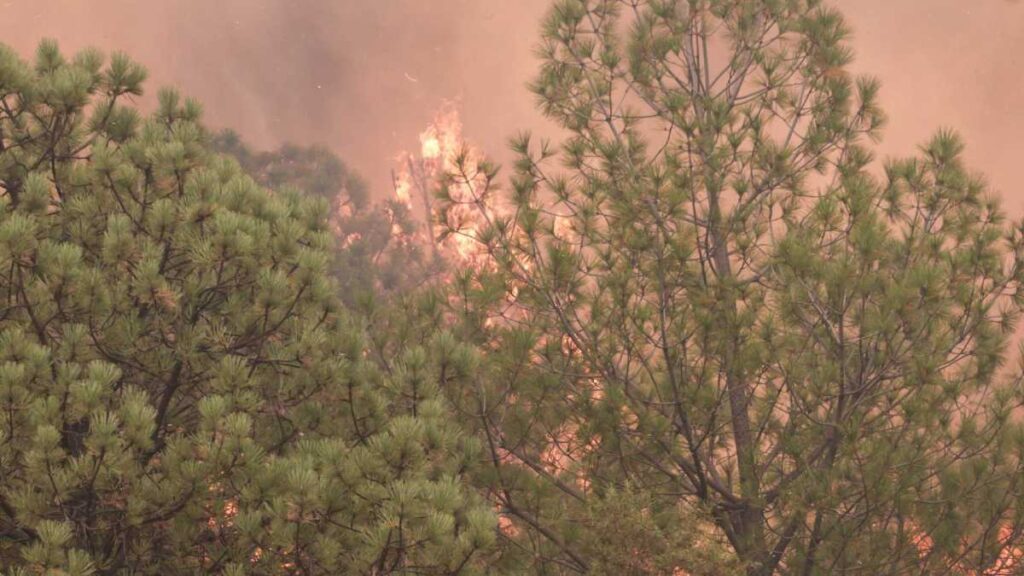 Reportan incendio forestal en Valle de Bravo