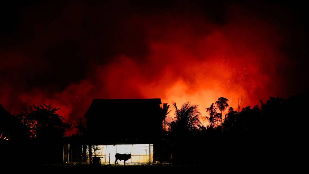 México también sufre los estragos: récord mundial de incendios forestales en 2024 golpea a América Latina