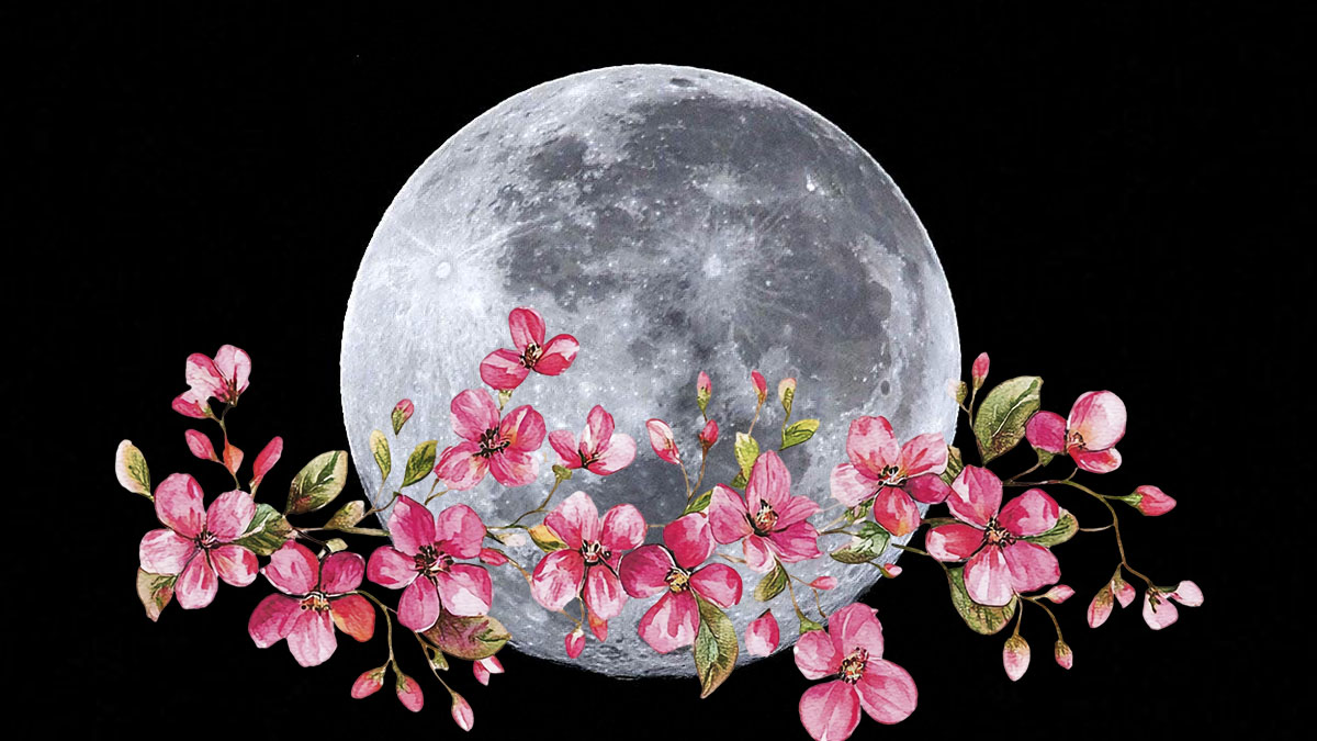 Luna de flores 2025: ¿cuál es el mejor momento para verla este 12 de mayo?  - UnoTV