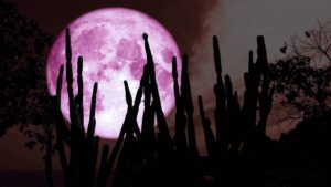 Luna de Fresa 2025: cuándo y cómo verla en vivo
