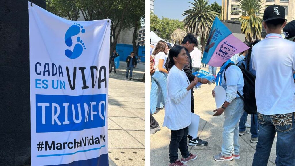 Marcha Por La Vida Cdmx