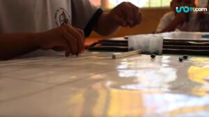 Maestros enseñan matemáticas mayas en comunidades de Yucatán