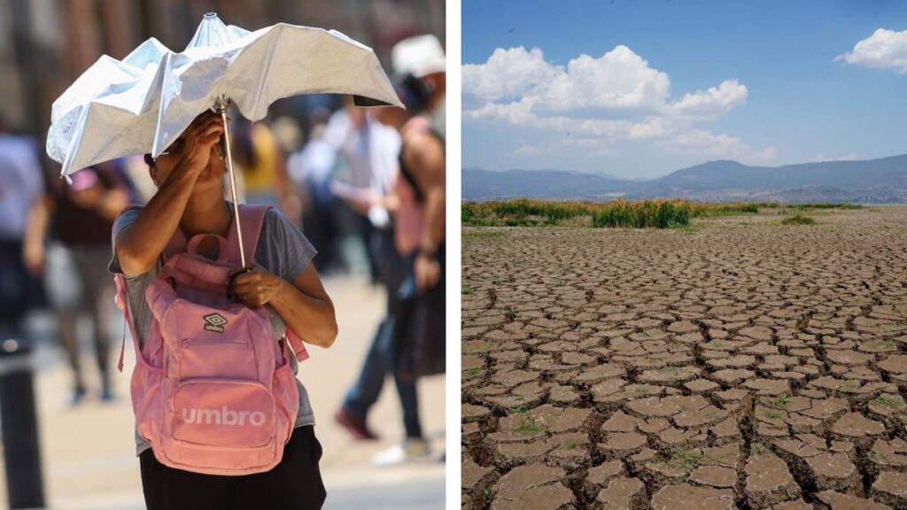 Medidas Ola De Calor Mexico