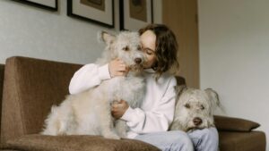 Sigue estos 4 consejos para mejorar el vínculo con tu perrito