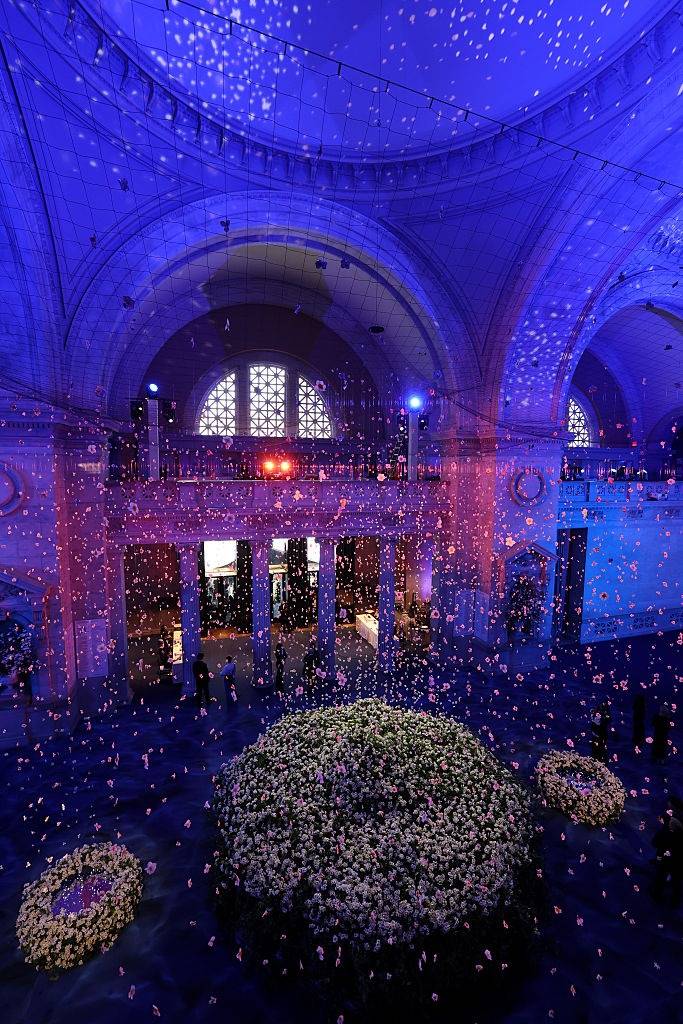 Met Gala Azul