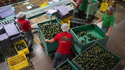 microferias-del-empleo-en-cdmx-ve-donde-y-cuando-puedes-postularte
