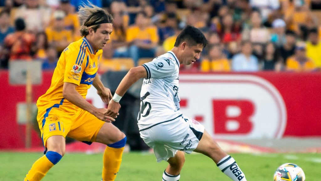Necaxa Tigres