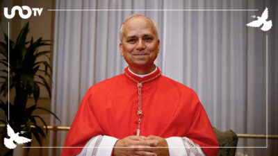 nuevo papa