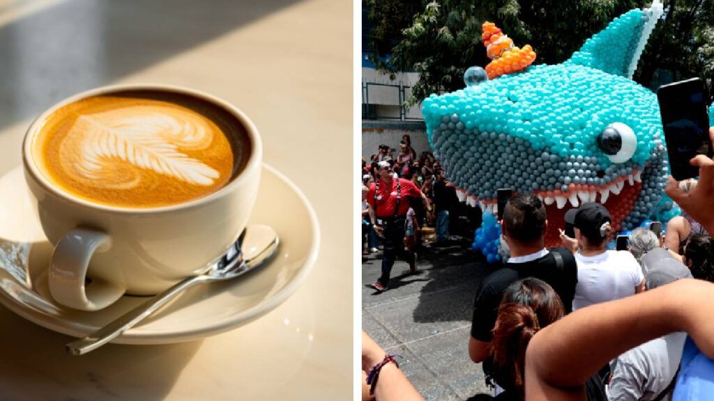 tiktok-tralalero-tralala-ballerina-capuchina