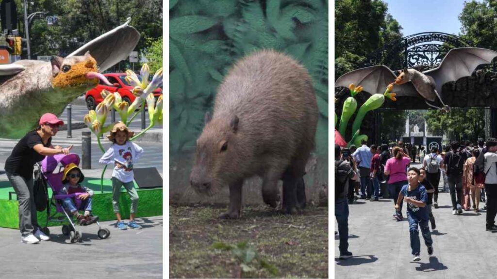 ¿Dónde ver capibaras en México? Estos zoológicos tienen al animal de moda