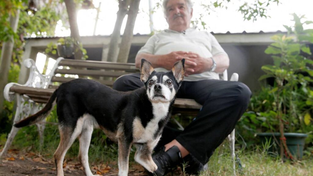 Pepe Mujica y su perra Manuela
