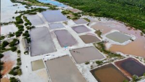 Rescatan salineras mayas de Xtampú; tradición milenaria sigue viva