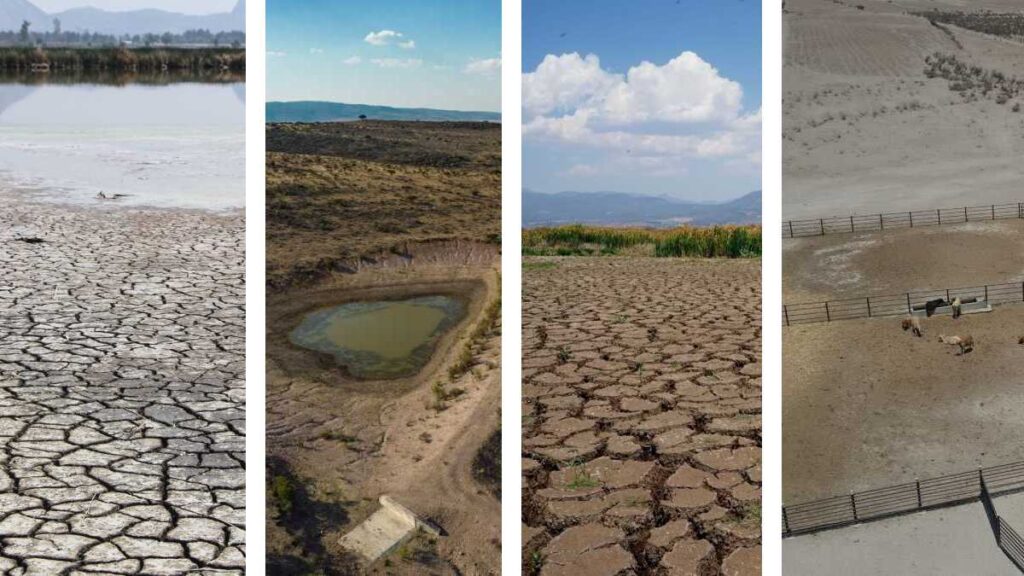 Sequía afecta a estados productores