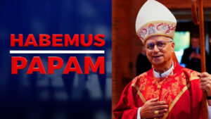 “Será Viral”: ¿Papa León XIV dará continuidad al legado de Francisco?