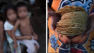 Desarrollan en México tortilla que combate desnutrición sin refrigerador