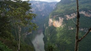 Youtuber arriesga su vida colgándose de árbol en acantilado del Cañón del Sumidero; ya fue denunciado ante la Profepa: VIDEO