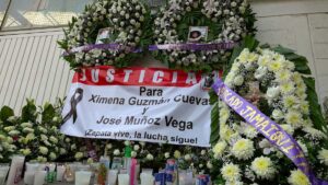 No creo que vayan a esclarecer exactamente qué pasó: Alejandra Cullen