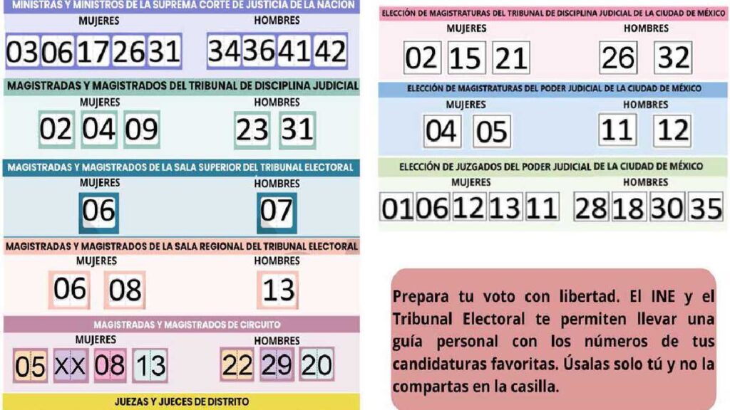 Acordeones elección judicial IECM
