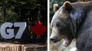 Cercas eléctricas y drones: así protege Canadá la cumbre del G7 de un ataque de osos