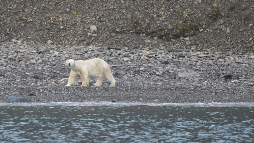 ¡Alerta! La contaminación por mercurio sigue creciendo en el Ártico