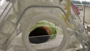 Sigue alerta por tosferina en México: confirman 53 muertes de bebés, estos son los estados con más casos