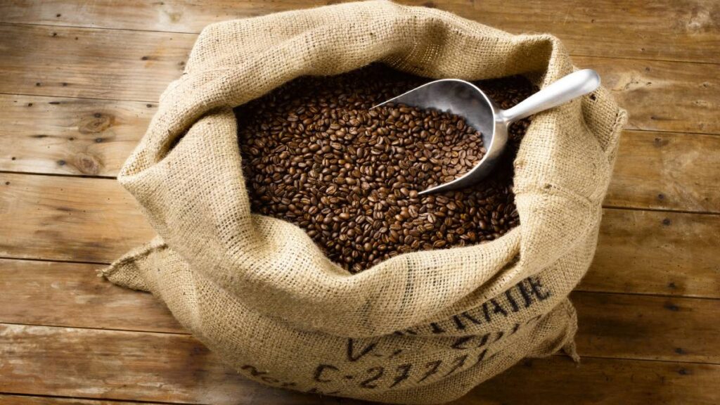 ¿Cómo usar el café para eliminar malos olores en casa? Ve estos 5 ejemplos sencillos