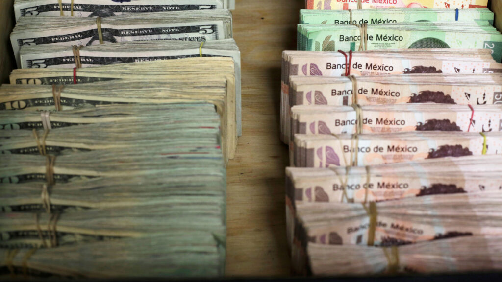 CNBV interviene de forma temporal a Vector Casa de Bolsa; se suma a CI Banco e Intercam