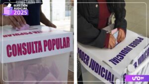 ¿Una consulta ciudadana equivale a una elección constitucional? Esto dice el INE