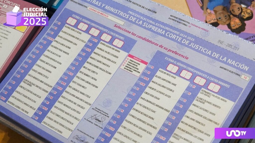 cuanto-tardaras-en-votar-en-la-eleccion-judicial-ine-responde