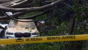 Caída de enorme árbol y fuertes encharcamientos: el saldo de las lluvias en CDMX