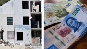 ¿Una manita de gato para la casa? Apoyo ofrece 40 mil pesos para mejorar viviendas